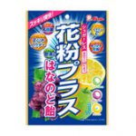 【8時から】ライオン菓子 花粉プラス袋はなのど飴 70g 1袋あたり19円など！【送料無料】
