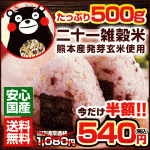 熊本県産発芽玄米使用 国産二十一雑穀米 【送料無料】